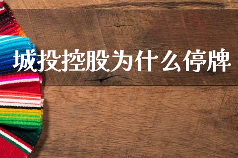 城投控股为什么停牌_https://m.15771688.com_期货开户_第1张