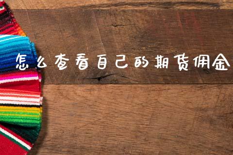 怎么查看自己的期货佣金_https://m.15771688.com_美国道指_第1张