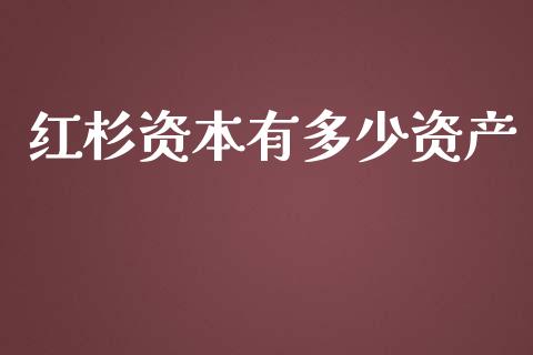 红杉资本有多少资产_https://m.15771688.com_期货手续费_第1张