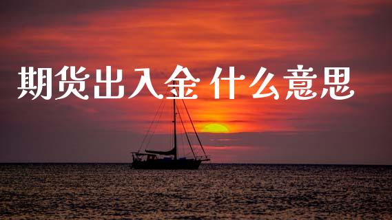 期货出入金 什么意思_https://m.15771688.com_期货手续费_第1张