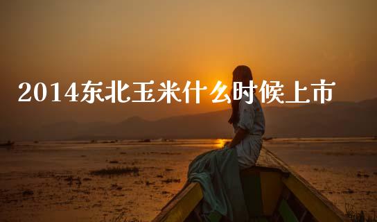 2014东北玉米什么时候上市_https://m.15771688.com_期货手续费_第1张