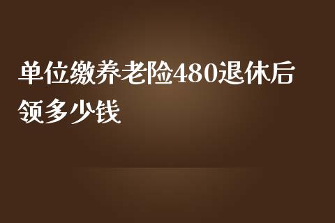 单位缴养老险480退休后领多少钱_https://m.15771688.com_美国道指_第1张