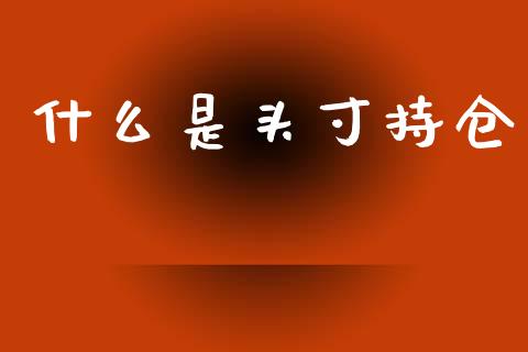 什么是头寸持仓_https://m.15771688.com_道指实时行情_第1张