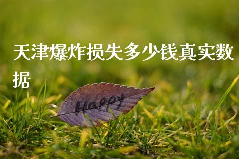 天津爆炸损失多少钱真实数据_https://m.15771688.com_期货手续费_第1张