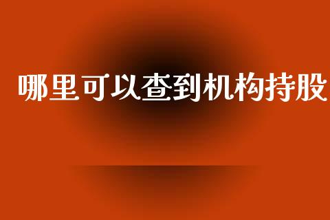 哪里可以查到机构持股_https://m.15771688.com_美国道指_第1张