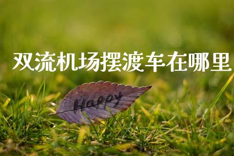 双流机场摆渡车在哪里_https://m.15771688.com_期货开户_第1张