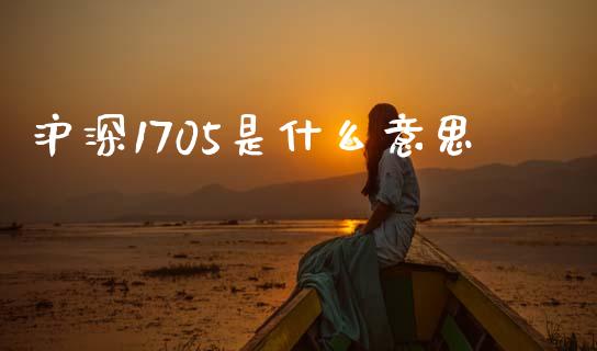 沪深1705是什么意思_https://m.15771688.com_道指实时行情_第1张