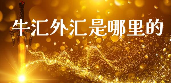 牛汇外汇是哪里的_https://m.15771688.com_期货手续费_第1张