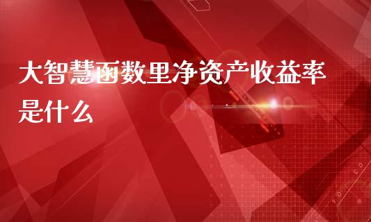 大智慧函数里净资产收益率是什么_https://m.15771688.com_道指实时行情_第1张