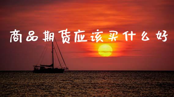 商品期货应该买什么好_https://m.15771688.com_期货手续费_第1张