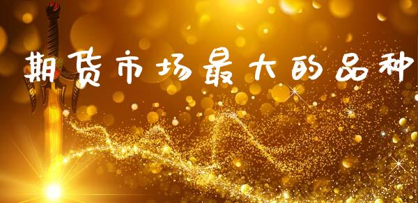 期货市场最大的品种_https://m.15771688.com_道指实时行情_第1张