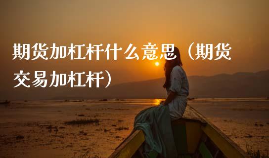 期货加杠杆什么意思（期货交易加杠杆）_https://m.15771688.com_期货手续费_第1张