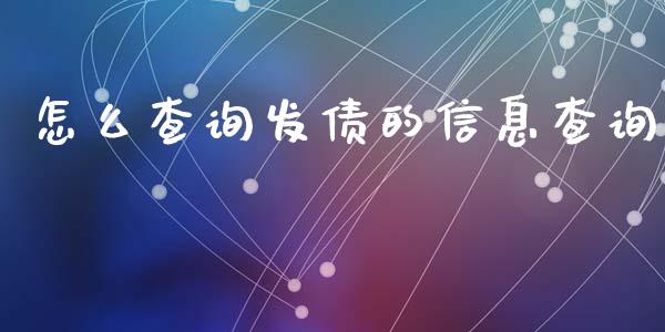 怎么查询发债的信息查询_https://m.15771688.com_期货手续费_第1张
