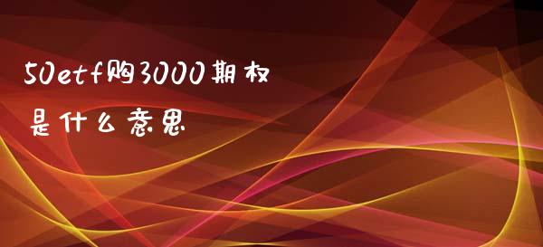 50etf购3000期权是什么意思_https://m.15771688.com_美国道指_第1张