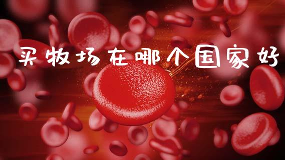 买牧场在哪个国家好_https://m.15771688.com_美国道指_第1张