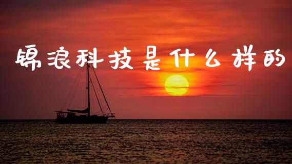 锦浪科技是什么样的_https://m.15771688.com_期货开户_第1张