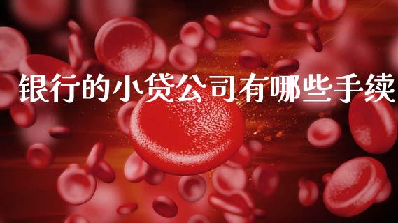 银行的小贷公司有哪些手续_https://m.15771688.com_美国道指_第1张