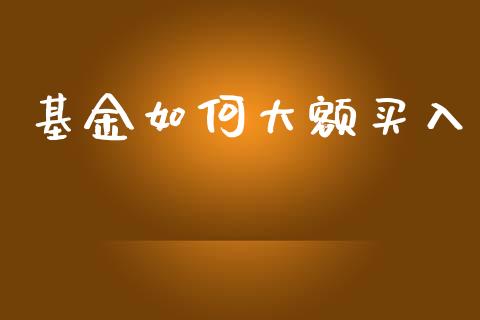 基金如何大额买入_https://m.15771688.com_美国道指_第1张